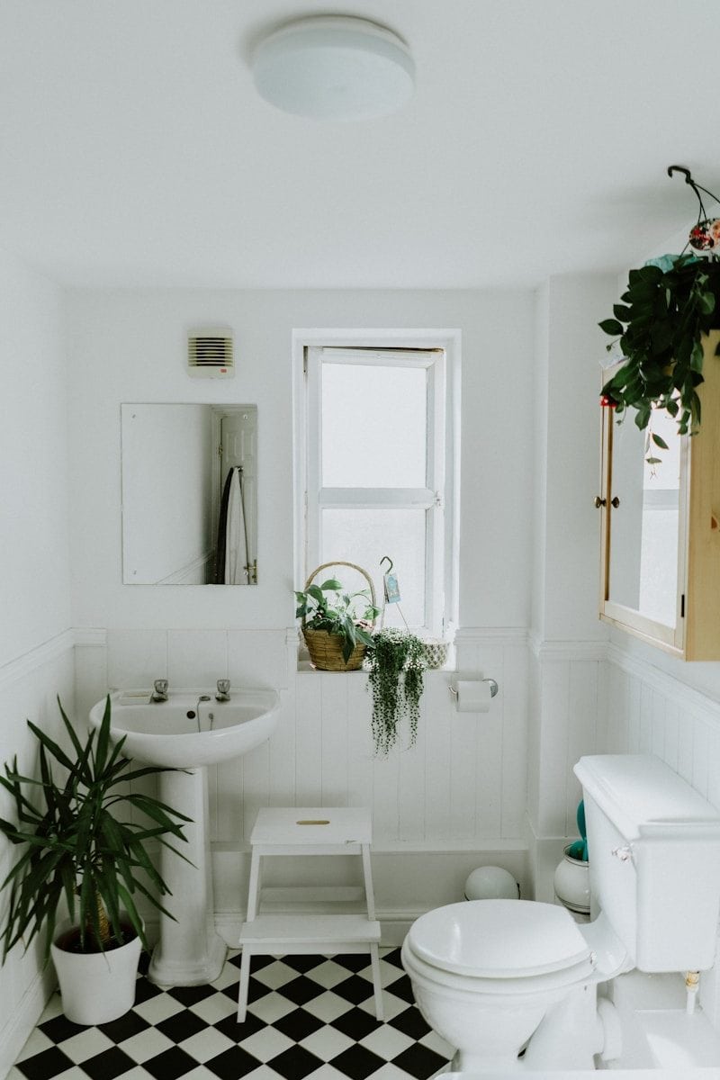 A white bathroom with a pedestal sink, toilet, and potted plants on a checkered floor