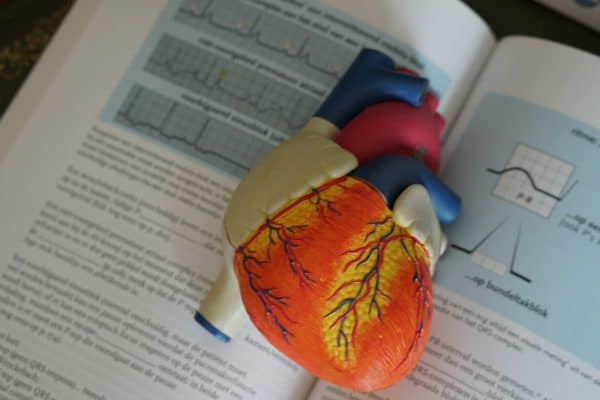 O erro que milhares cometem após um infarto e que pode abrir caminho para outro ataque cardíaco