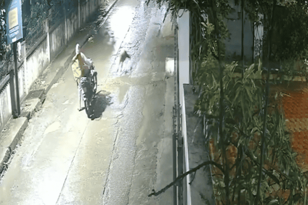 Motociclista é surpreendido por leopardo e escapa de ataque em estrada na Índia