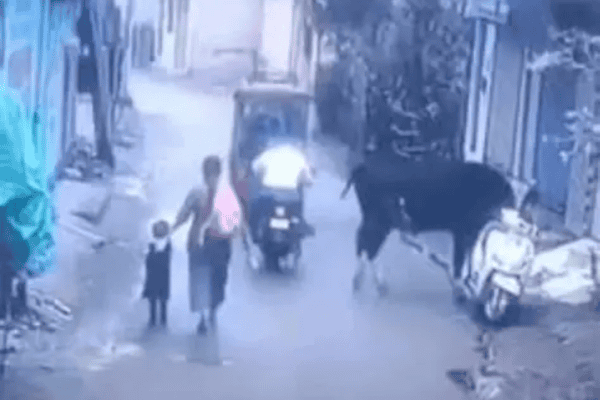 Vaca é flagrada roubando moto e vídeo inusitado viraliza nas redes sociais