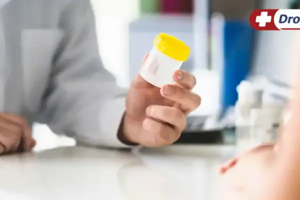 Quais são os sintomas de infecção urinária em mulheres e como agir precocemente