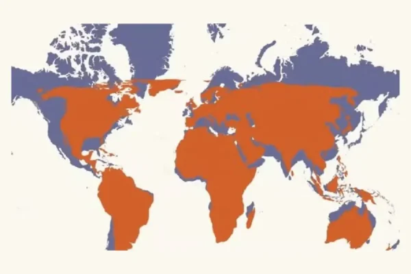 Mapa-múndi passa a corrigir distorções em continentes após aval da ONU