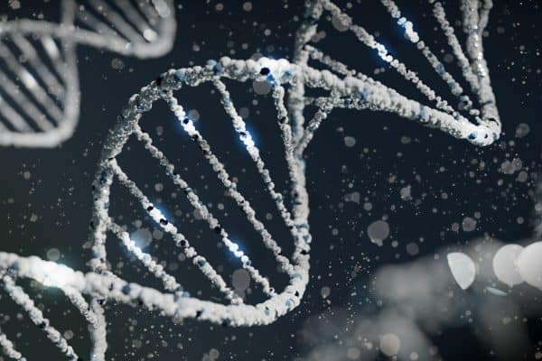Seu jeito de ser pode estar no DNA: estudo encontra mais de 1.200 variantes ligadas à personalidade