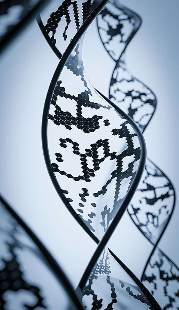 A curved structure with a black hexagonal pattern against a light blue background
