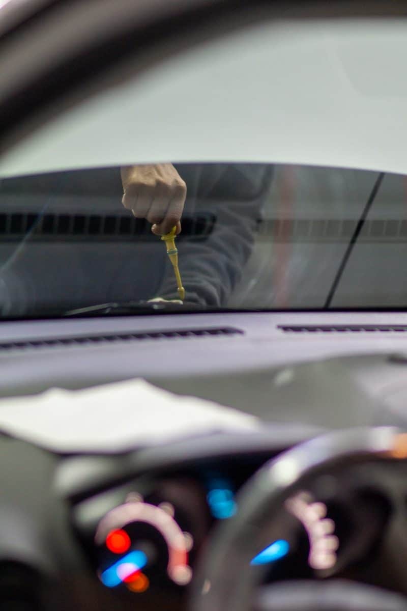 A person is sitting in a car with a flower in their hand