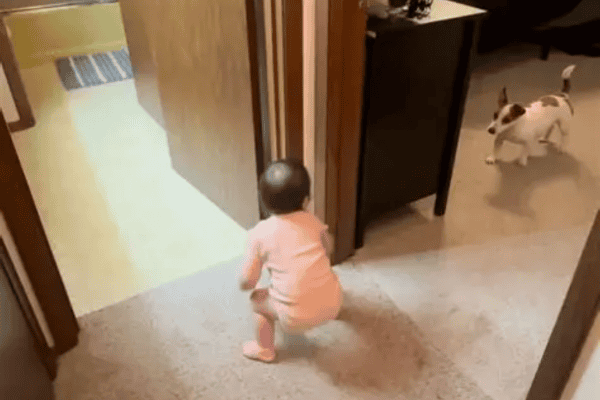 Interação encantadora entre bebê e cachorrinho viraliza nas redes sociais