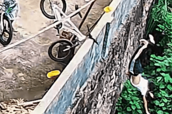 Menino perde o controle da bicicleta, bate contra parede e é salvo por arbustos