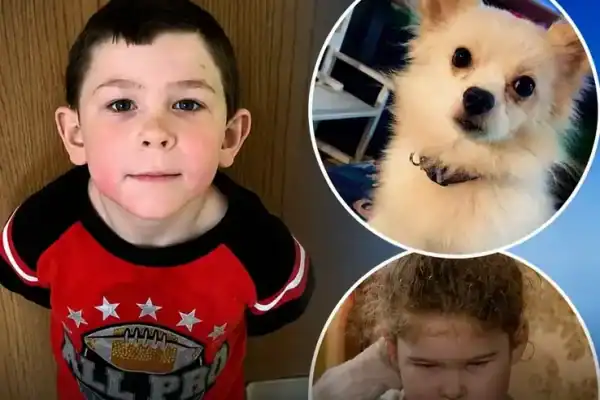 Menino de 5 anos salva oito familiares e cachorro de incêndio