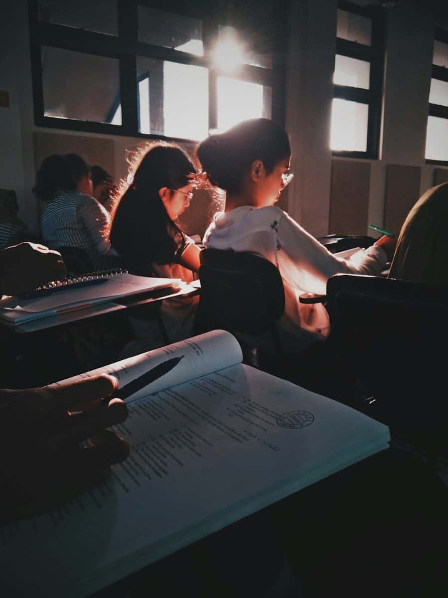 Students in a sunlit classroom reading from open textbooks at their desks
