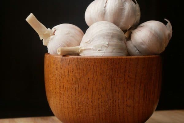 Alho pode aumentar a atração sexual? Estudo revela efeito curioso do alimento no cheiro corporal