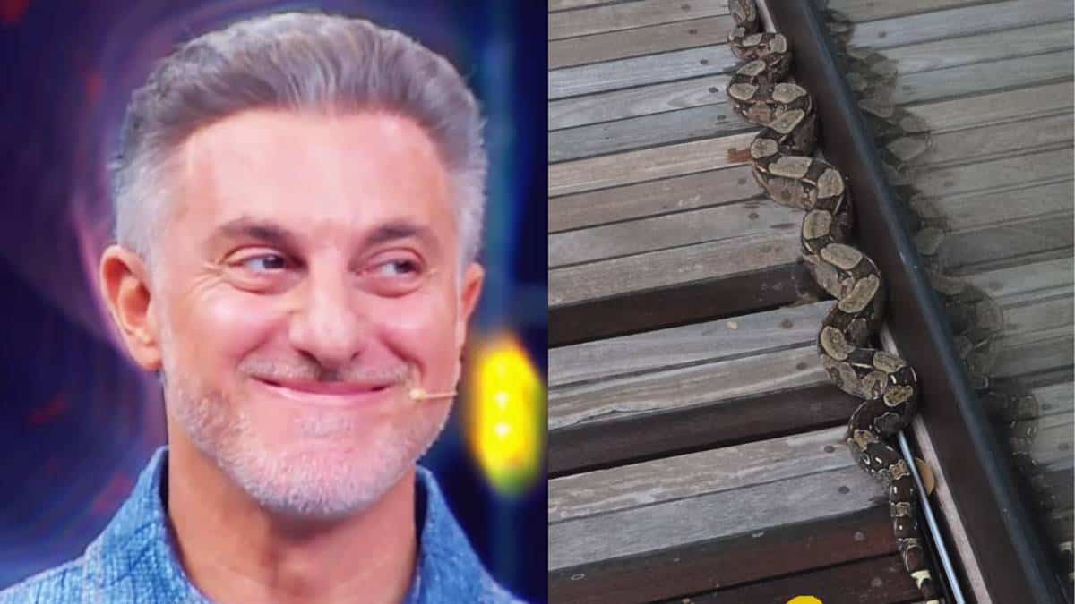 Luciano Huck flagra jiboia em sua mansão e revela outros visitantes inesperados (Foto: Instagram)