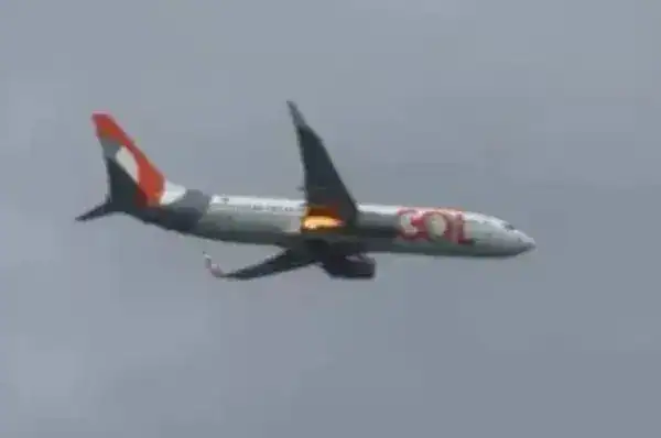 Passageira relata pânico após avião da Gol rumo a SP colidir com pássaro