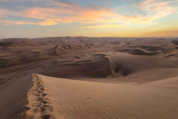 Ica no deserto peruano se tornou potência agrícola global, mas enfrenta grave escassez de água