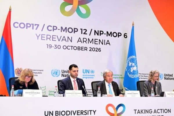 Qual o valor da biodiversidade? COP17 na Armênia avalia implementação de acordo histórico de proteção